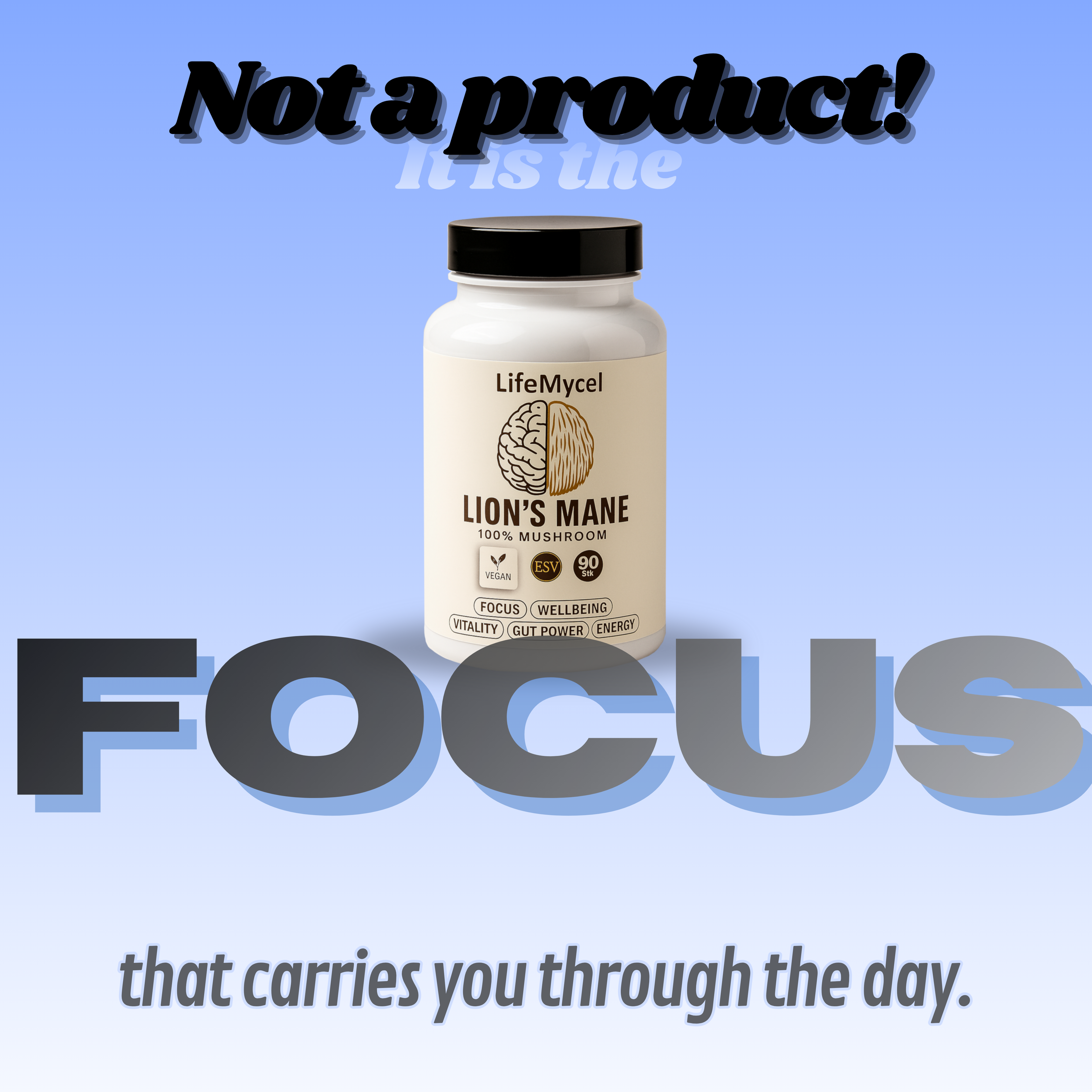 Full-Year Performance Pack