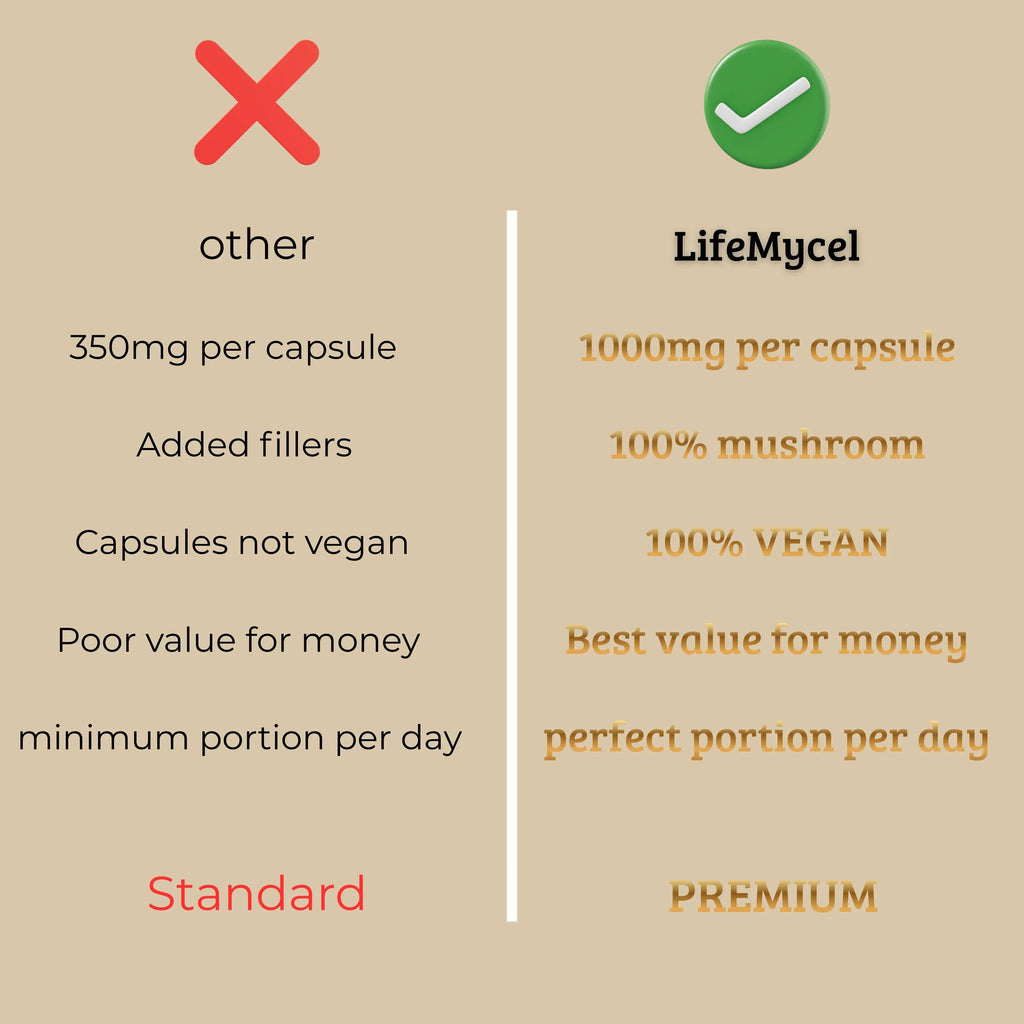 LifeMycel - Lion's Mane