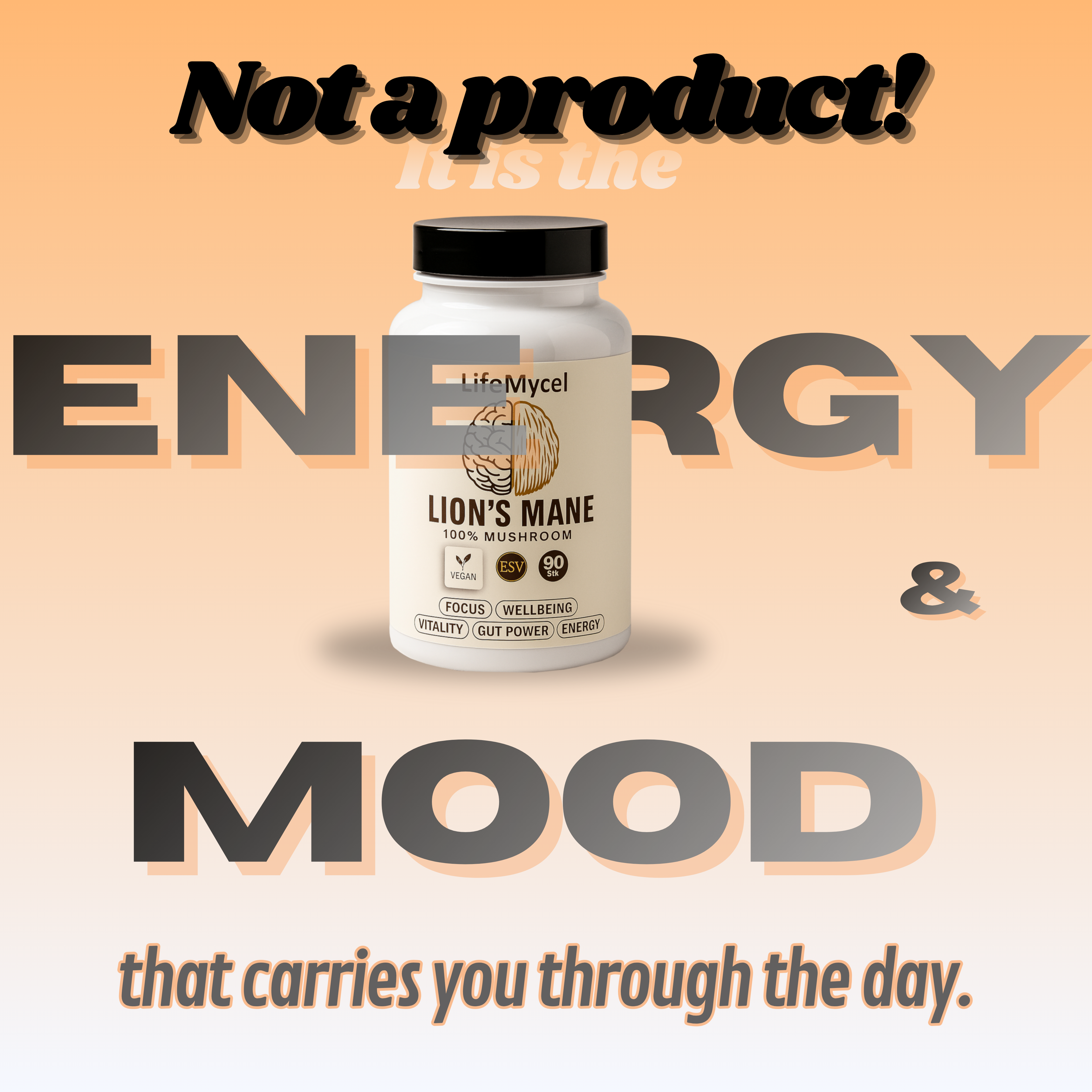 LifeMycel - Lion's Mane