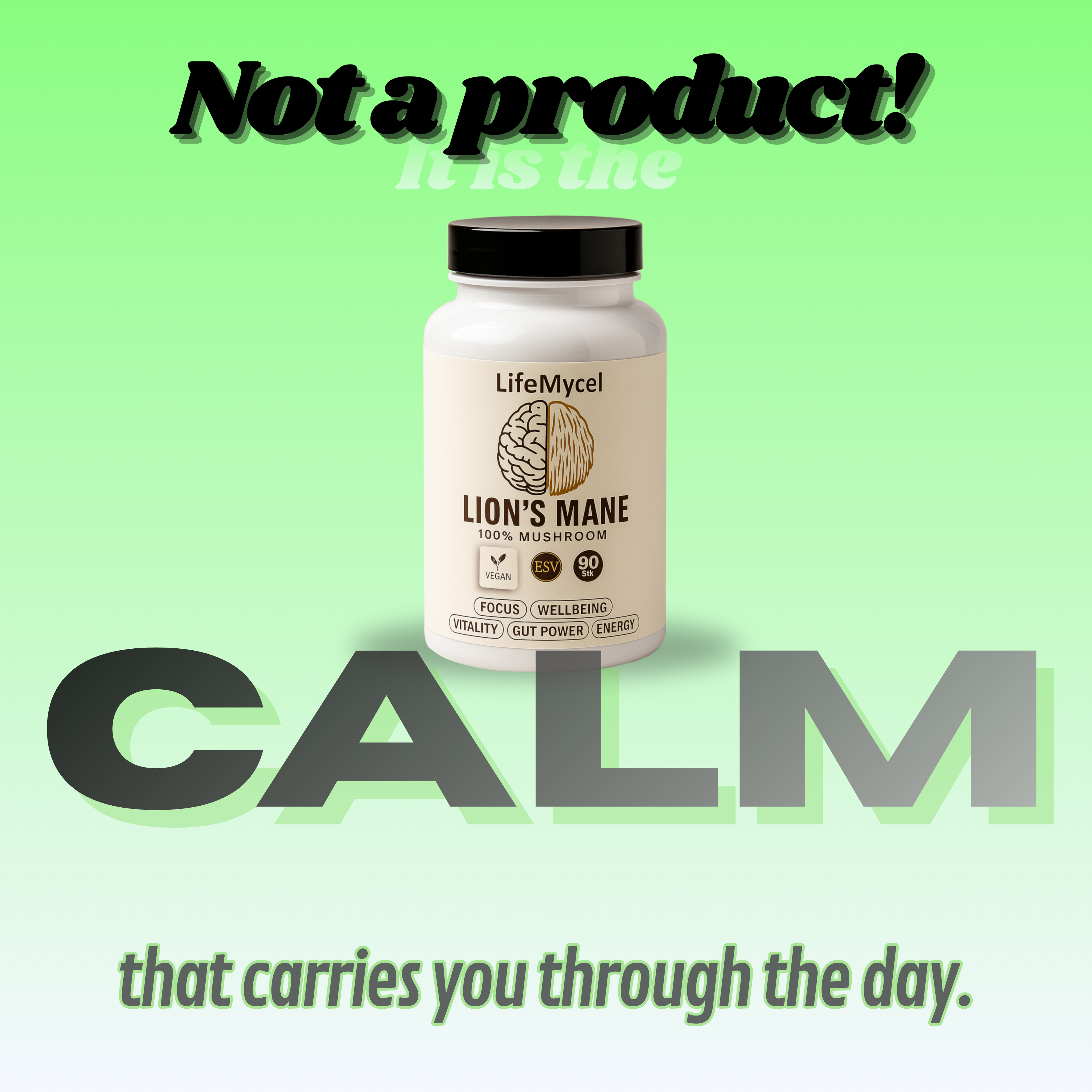 Full-Year Performance Pack