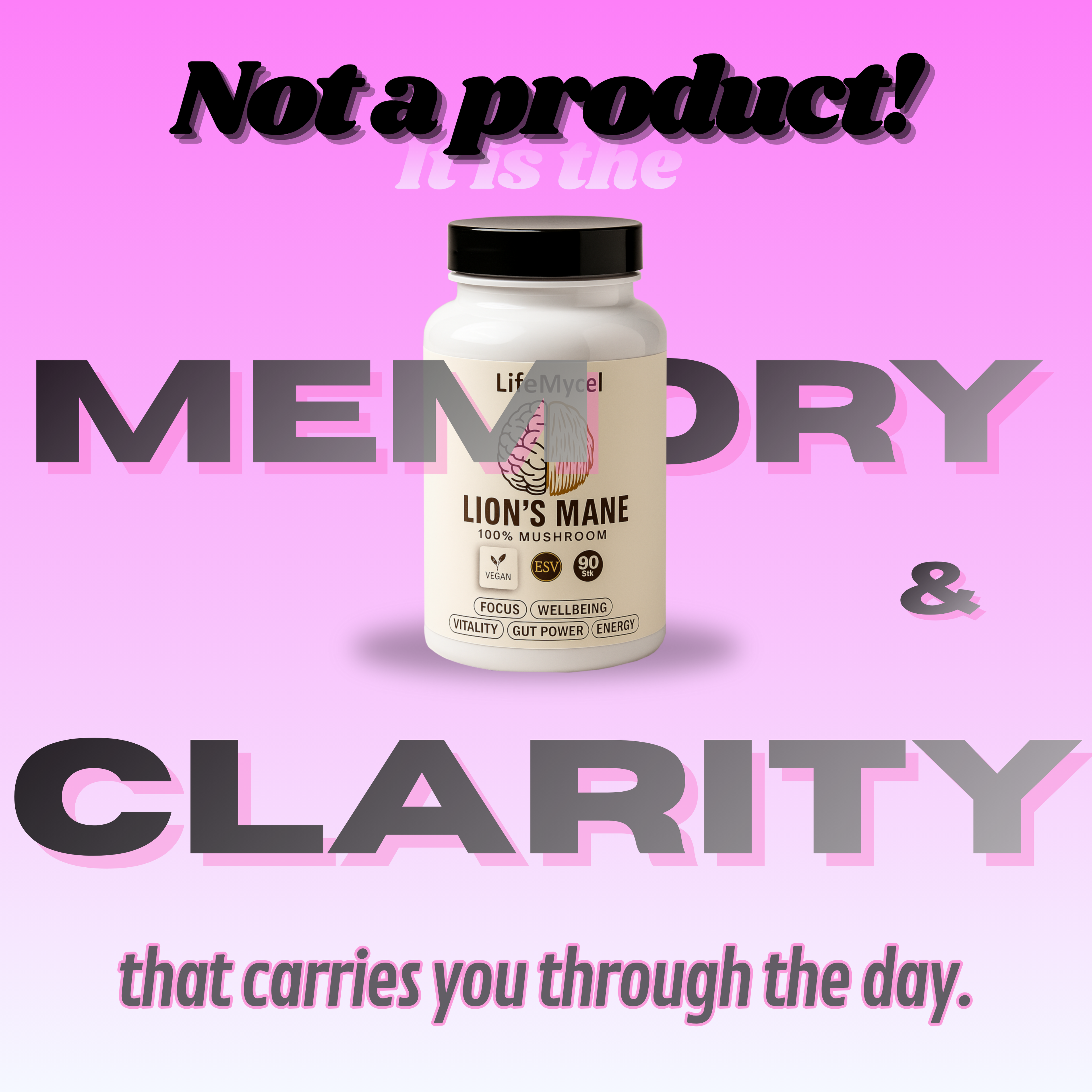 Full-Year Performance Pack