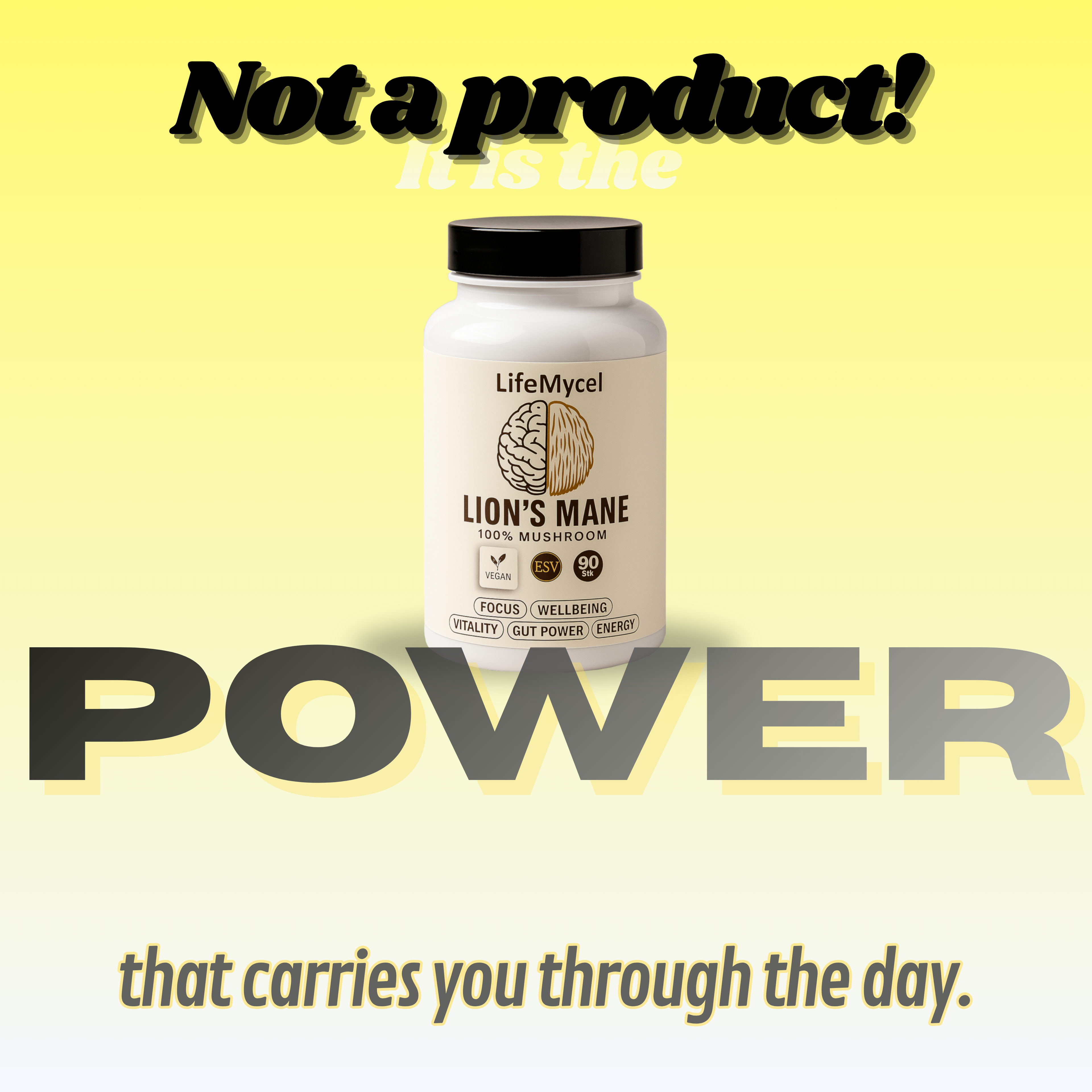 Full-Year Performance Pack