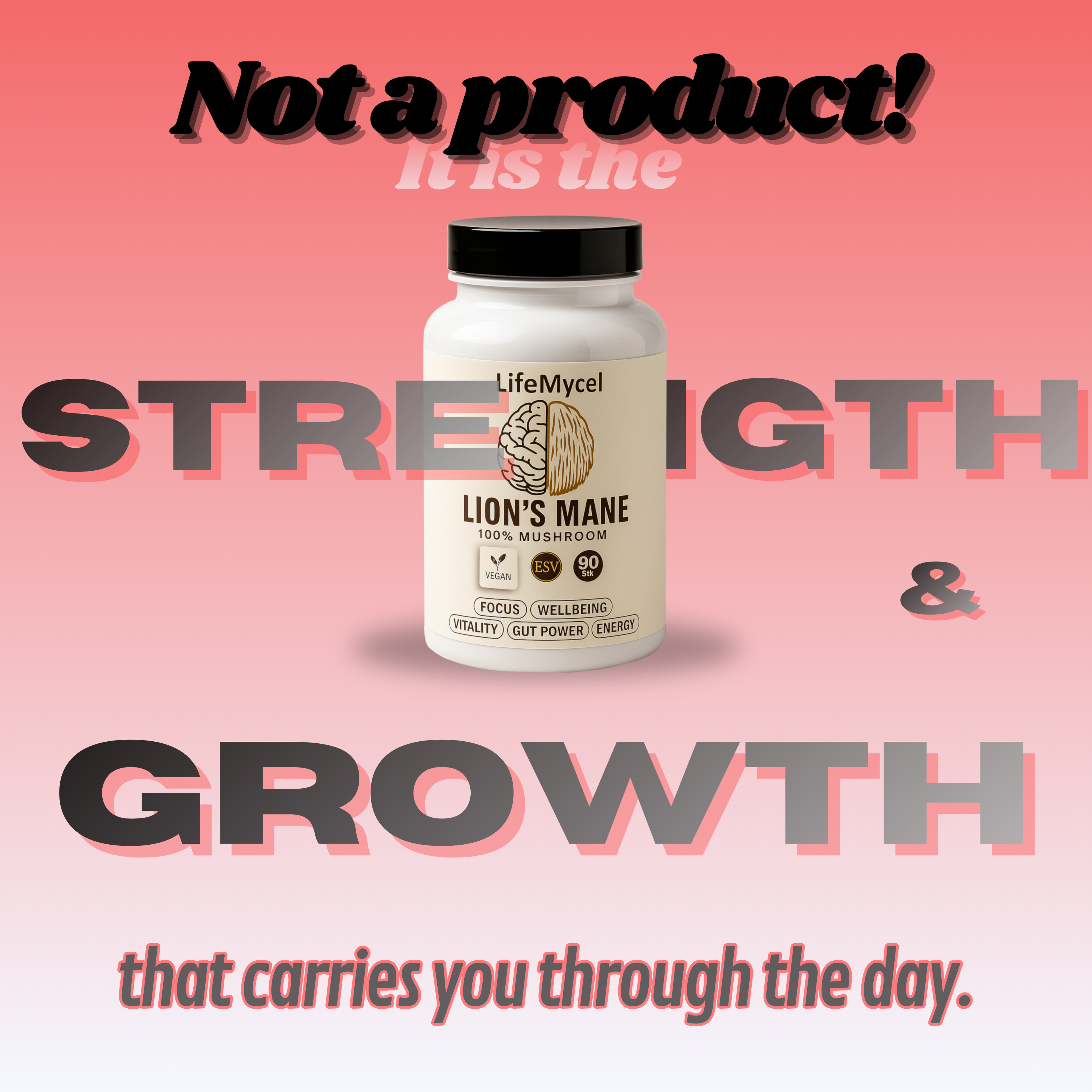 Full-Year Performance Pack