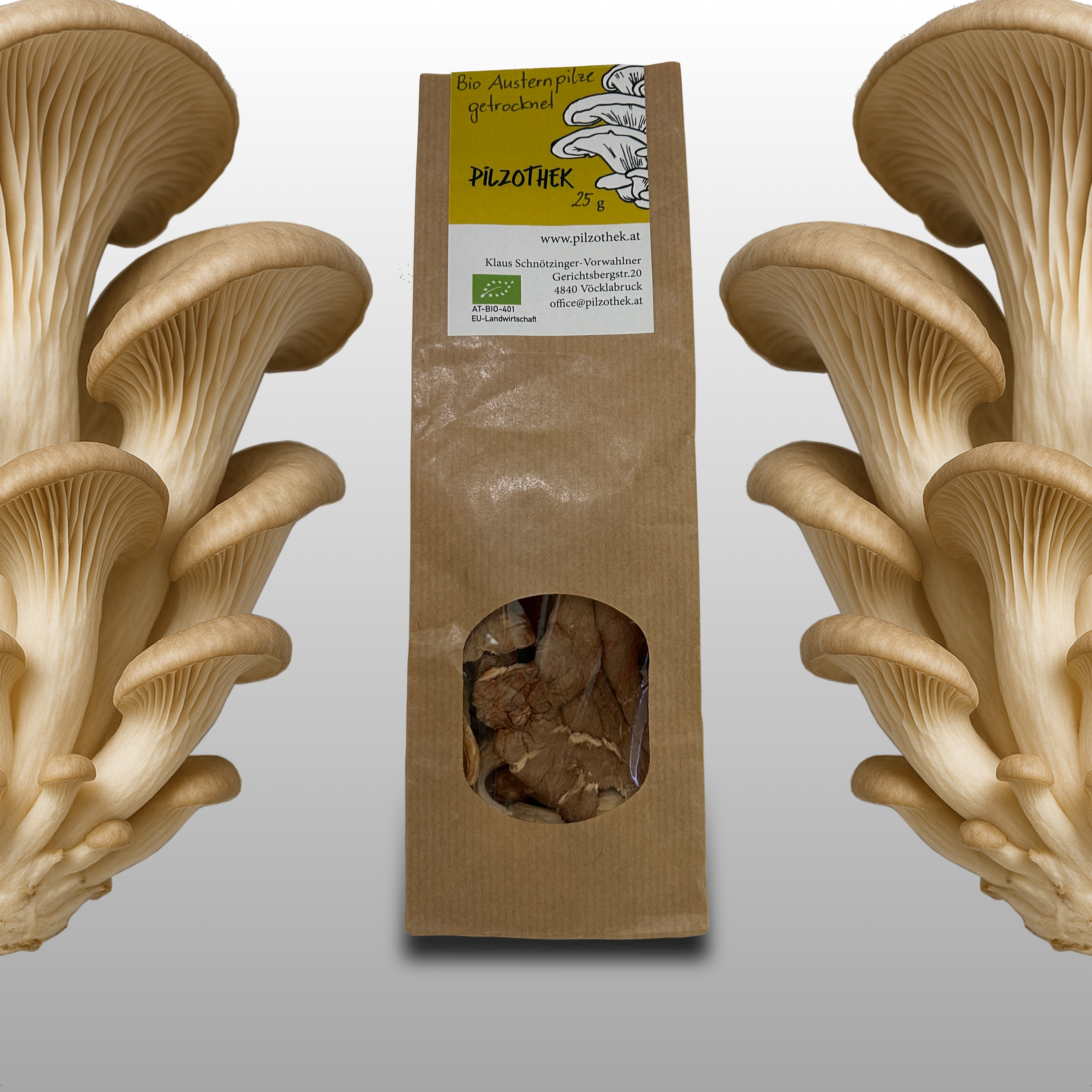 BIO Oyster Mushroom - dried